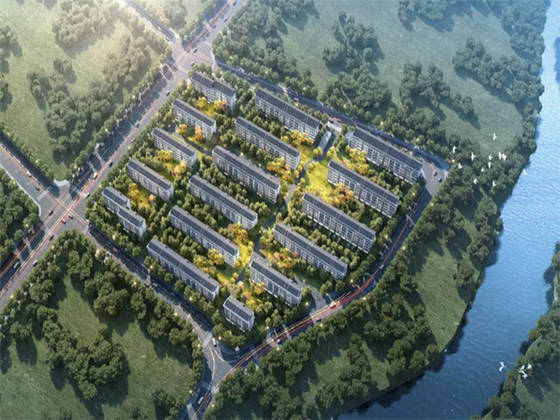 02.jpg