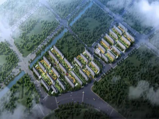03.jpg