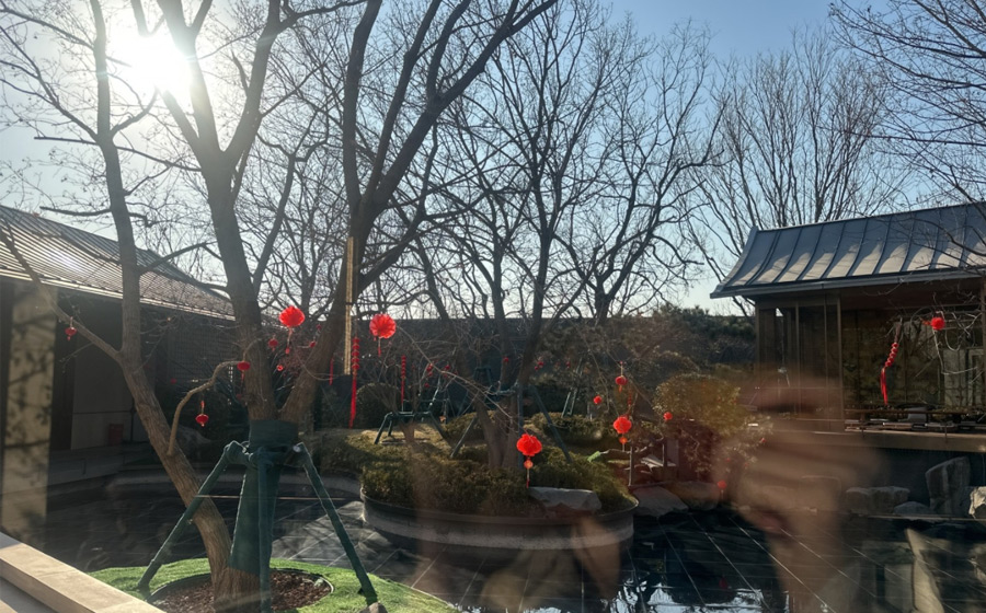 大兴发展梧桐府